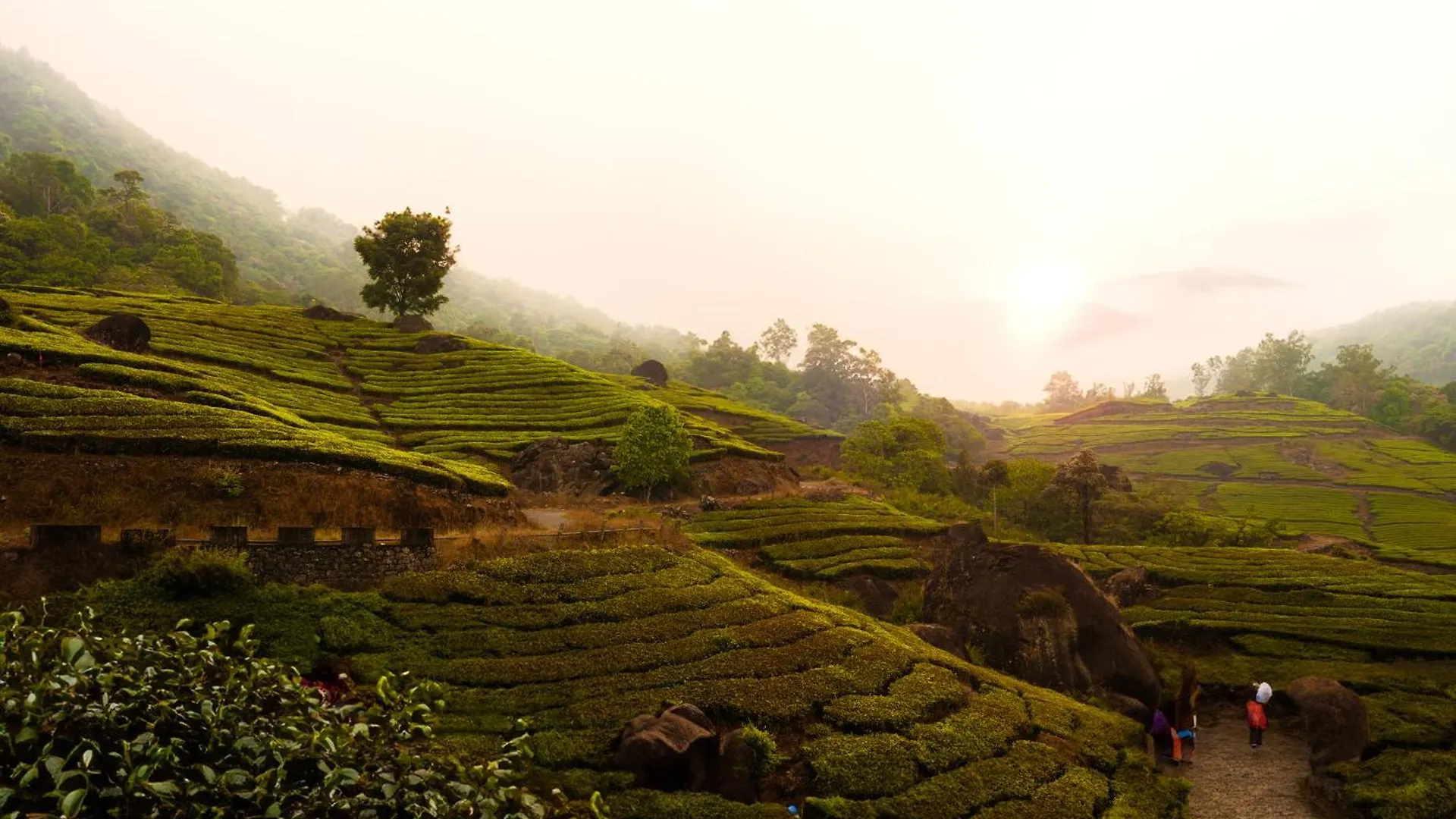 The Grand Cliff Resort Munnar Viripara